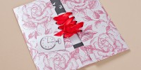linha-corselet-2D-4