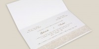 linha-objective-com-faixa-vegetal-2
